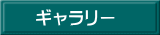 ギャラリー